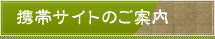 �g�уT�C�g�̂��ē�