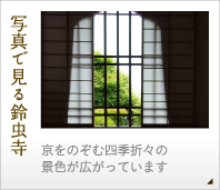 写真で見る鈴虫寺-京をのぞむ四季折々の景色が広がっています