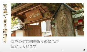 写真で見る鈴虫寺-京をのぞむ四季折々の景色が広がっています